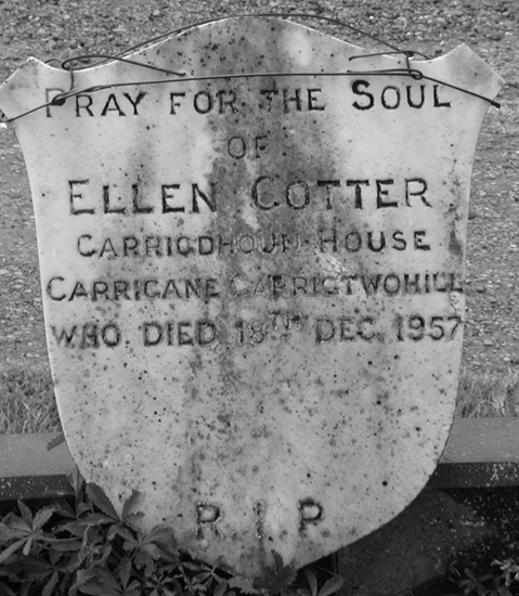 Cotter, Ellen.jpg 175.5K